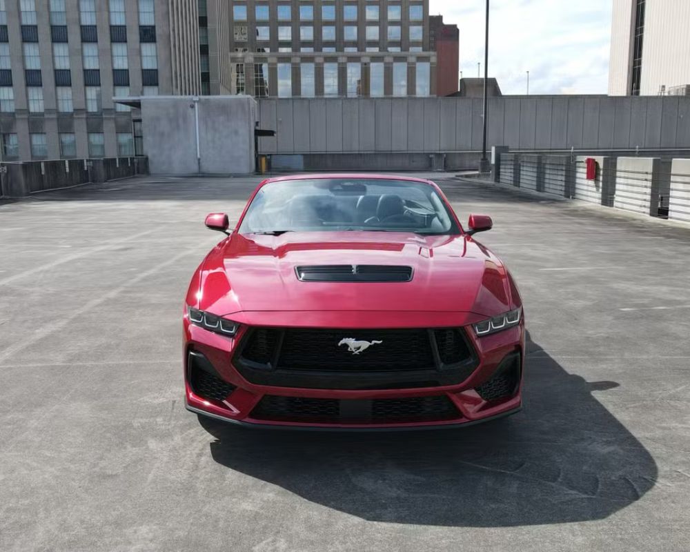 Ford Mustang rental Miami photo 7